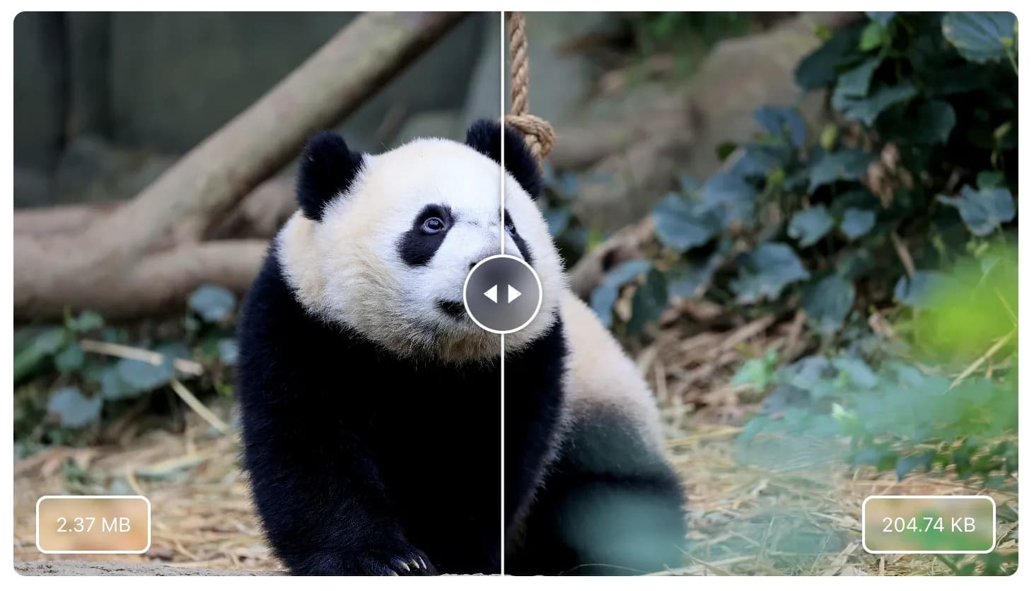 Before and after compare slider showing compression quality